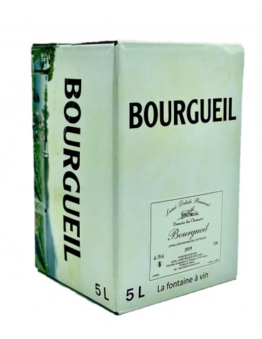 AOP Bourgueil Domaine Lame Delisle...