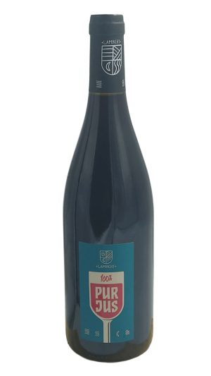 CHINON LAMBERT 100% PUR JUS ROUGE 2023